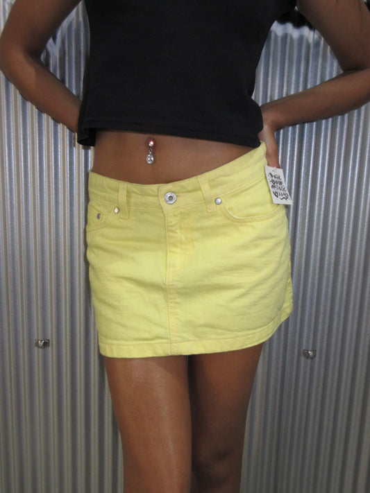 Vintage Design Skirt