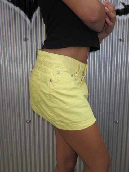 Vintage Design Skirt